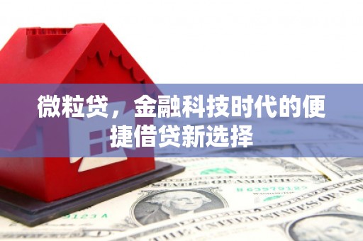 磐石微粒贷，金融科技时代的便捷借贷新选择