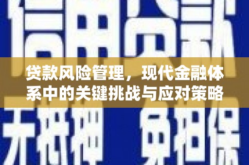 磐石贷款风险管理，现代金融体系中的关键挑战与应对策略