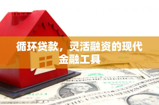 磐石循环贷款，灵活融资的现代金融工具