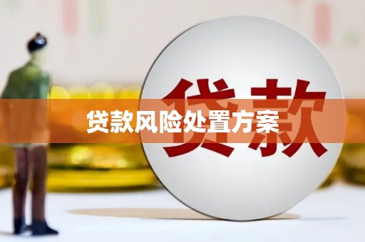 磐石贷款风险处置方案