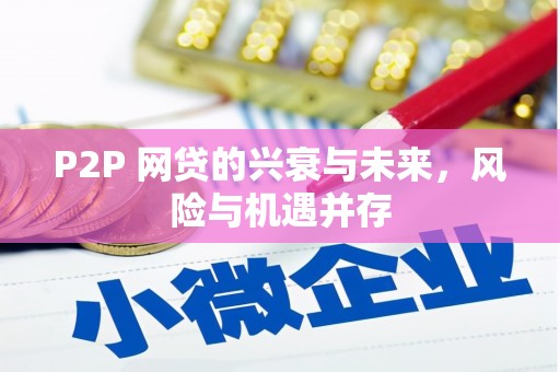 磐石P2P 网贷的兴衰与未来，风险与机遇并存