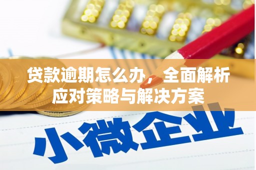 磐石贷款逾期怎么办，全面解析应对策略与解决方案